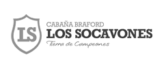 Logo cliente 49